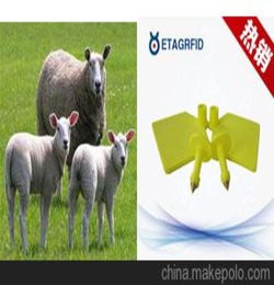 放养型牲畜 羊群 RFID计数管理系统方便农户